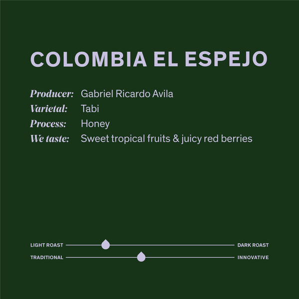 Colombia El Espejo-Tabi Honey