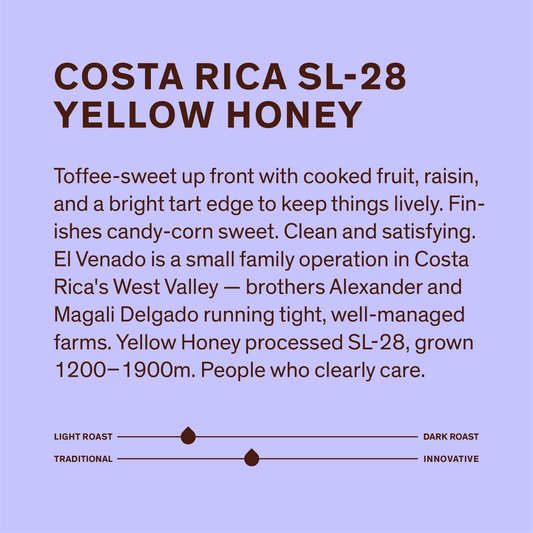 Costa Rica SL-28 Yellow Honey