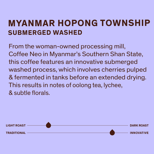 Ho Pong - Submerged Washed