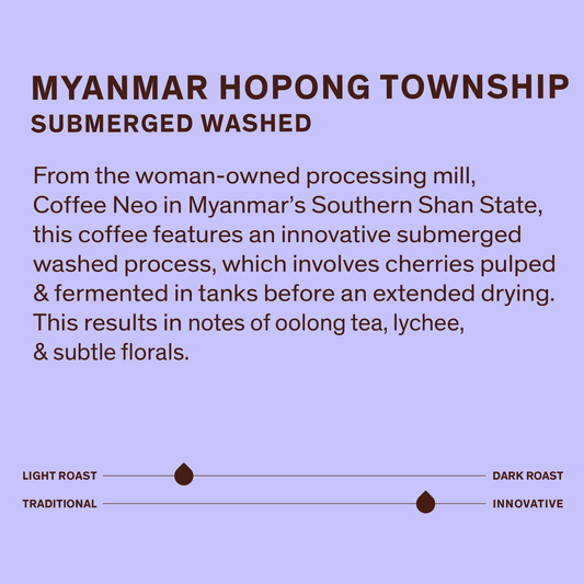 Ho Pong - Submerged Washed