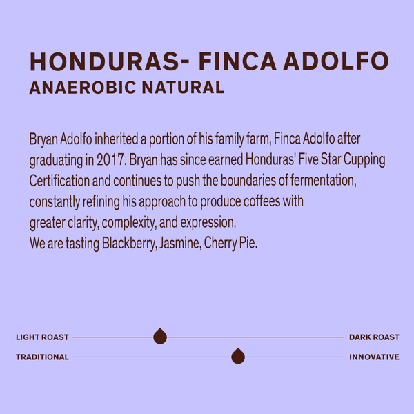 Honduras Finca Adolfo - Anaerobic Natural