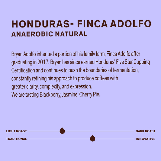 Honduras Finca Adolfo - Anaerobic Natural