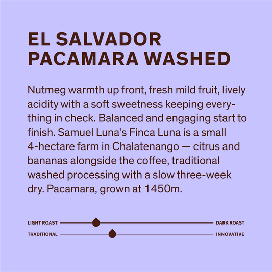 El Salvador-Samuel Luna Pacamara