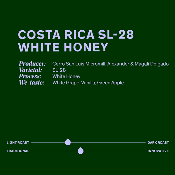 Costa Rica - SL-28 White Honey